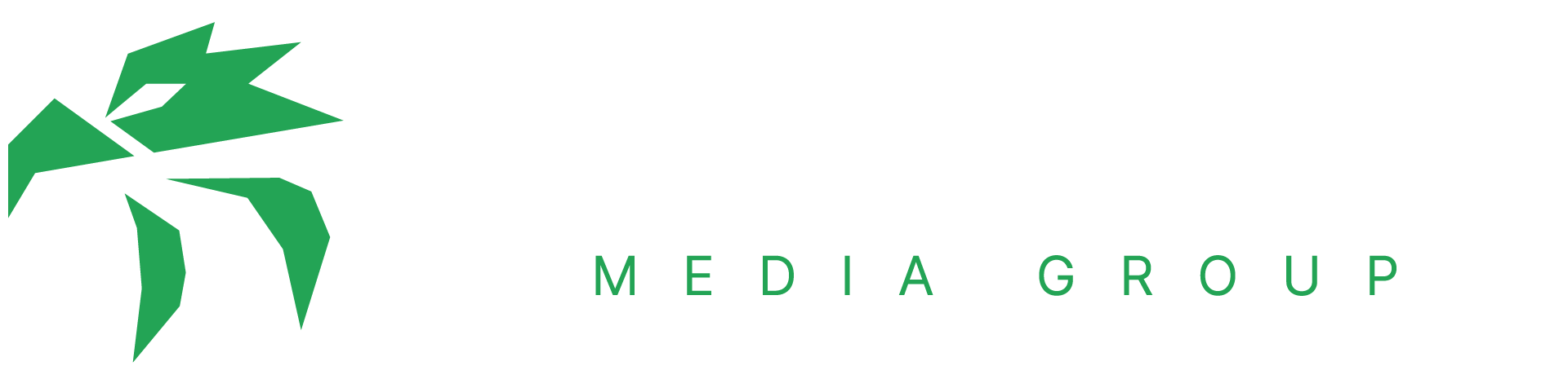 Hawks Eye Media Group